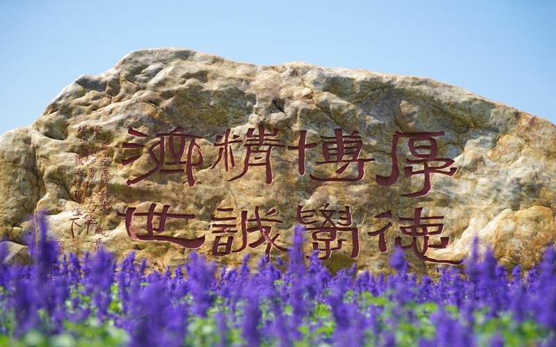 廣州中醫(yī)藥大學(xué)中藥學(xué)類專業(yè)錄取分?jǐn)?shù)線【天津高考綜合】