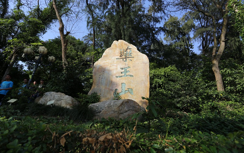 廣州中醫(yī)藥大學(xué)中醫(yī)學(xué)（5+3一體化）專業(yè)錄取分?jǐn)?shù)線【天津高考綜合】