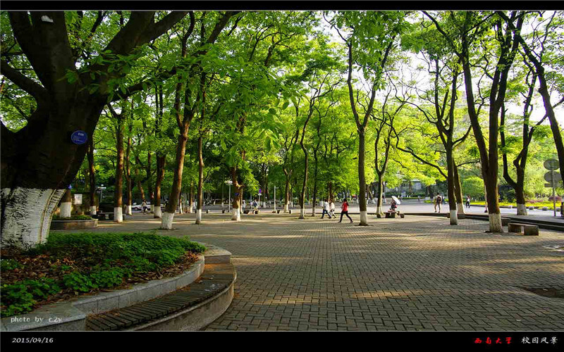 2024考生參考：2023西南大學經濟學類專業(yè)在河北招生錄取分數及錄取位次