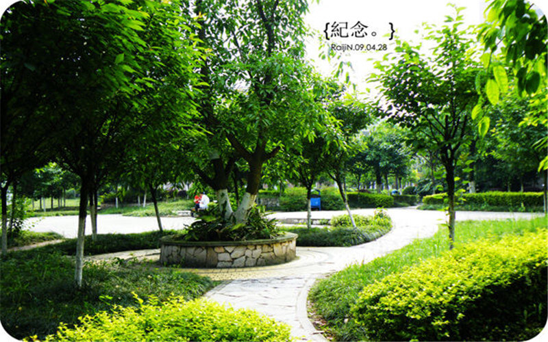 2024考生參考：2023重慶師范大學(xué)涉外商貿(mào)學(xué)院人工智能專業(yè)在重慶招生錄取分?jǐn)?shù)及錄取位次