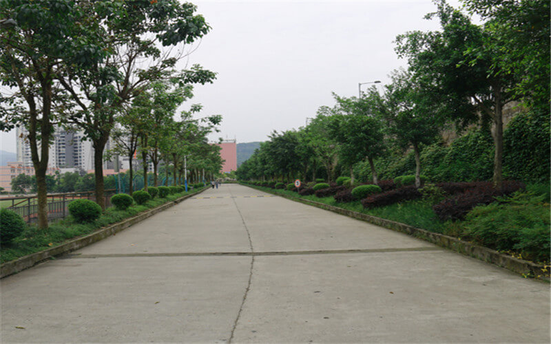 重慶安全技術(shù)職業(yè)學(xué)院會(huì)計(jì)信息管理專業(yè)在重慶招生錄取分?jǐn)?shù)(物理類)：362分