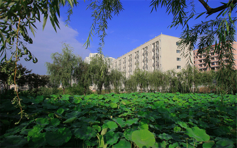 重慶安全技術(shù)職業(yè)學(xué)院現(xiàn)代移動(dòng)通信技術(shù)專業(yè)在重慶招生錄取分?jǐn)?shù)(物理類)：350分