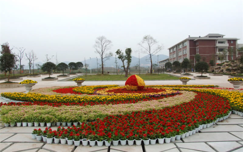 重慶醫(yī)科大學(xué)臨床醫(yī)學(xué)專業(yè)錄取分?jǐn)?shù)線【貴州高考理科】