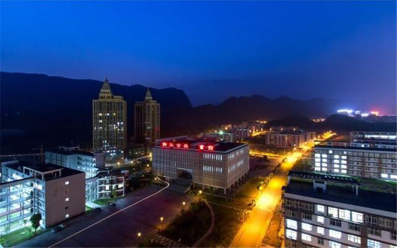 重慶旅游職業(yè)學(xué)院民族傳統(tǒng)技藝專業(yè)在重慶招生錄取分?jǐn)?shù)(歷史類)：307分