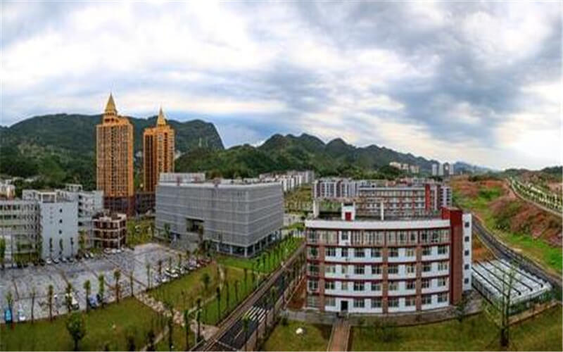 重慶旅游職業(yè)學院導游專業(yè)在重慶招生錄取分數(shù)(歷史類)：319分