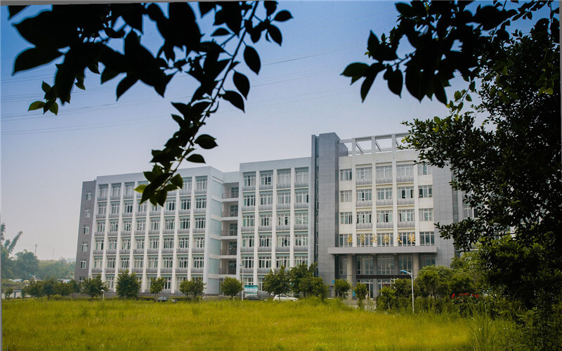 重慶工商大學(xué)派斯學(xué)院商務(wù)經(jīng)濟(jì)學(xué)專業(yè)在浙江招生錄取分?jǐn)?shù)(綜合)：529分