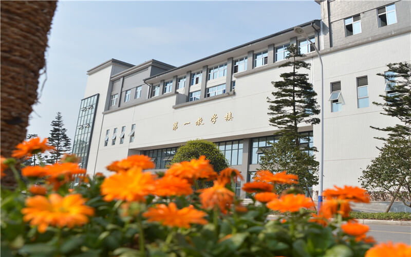 2023年重慶商務(wù)職業(yè)學(xué)院在海南招生專業(yè)及招生人數(shù)匯總(2024考生參考)
