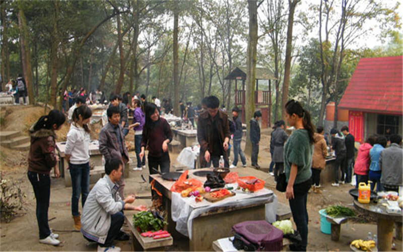 重慶科技職業(yè)學(xué)院旅游管理專業(yè)錄取分?jǐn)?shù)線【重慶高考?xì)v史類】