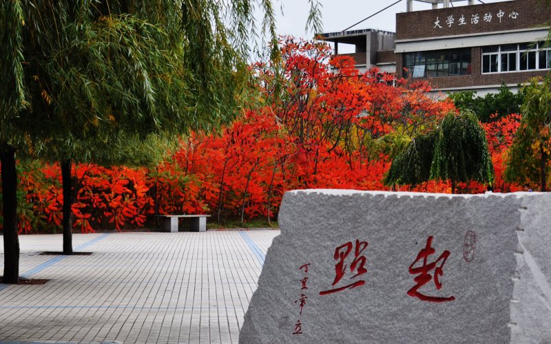 沈陽建筑大學(xué)物流工程專業(yè)錄取分?jǐn)?shù)線【新疆高考理科】