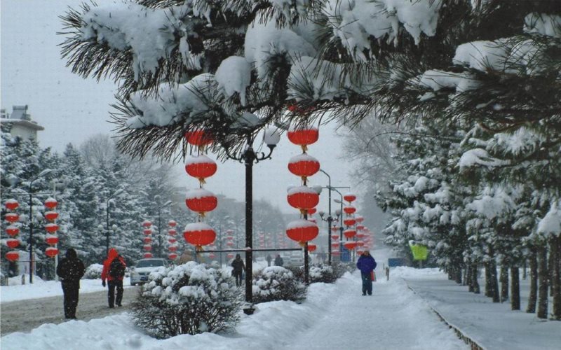 沈陽農(nóng)業(yè)大學(xué)機(jī)械設(shè)計(jì)制造及其自動(dòng)化專業(yè)錄取分?jǐn)?shù)線【天津高考綜合】