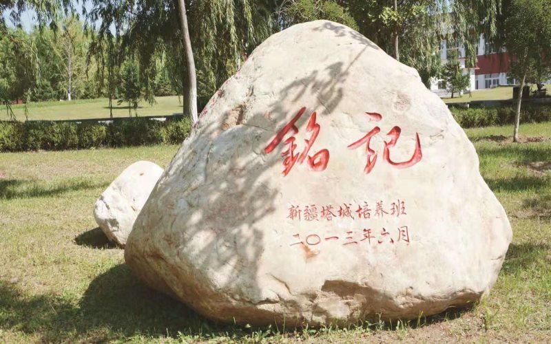 2024考生參考：2023遼寧農(nóng)業(yè)職業(yè)技術(shù)學(xué)院大數(shù)據(jù)與會計專業(yè)在遼寧招生錄取分數(shù)及錄取位次