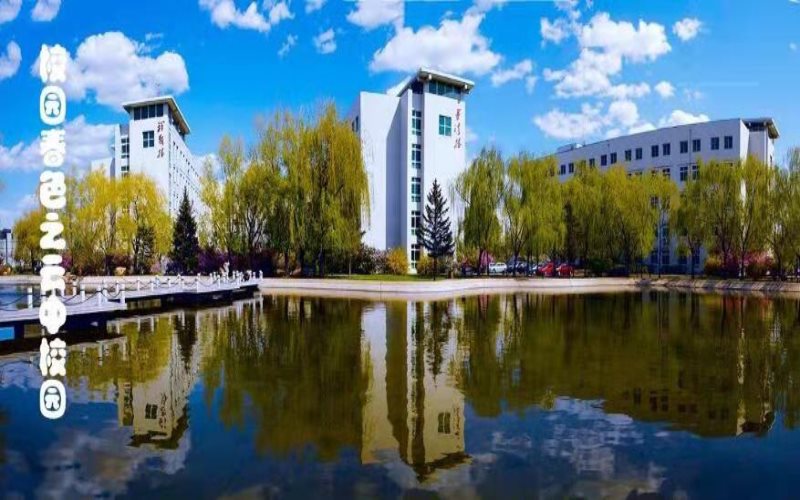 2024年沈陽化工大學(xué)過程裝備與控制工程專業(yè)在重慶錄取分?jǐn)?shù)線參考