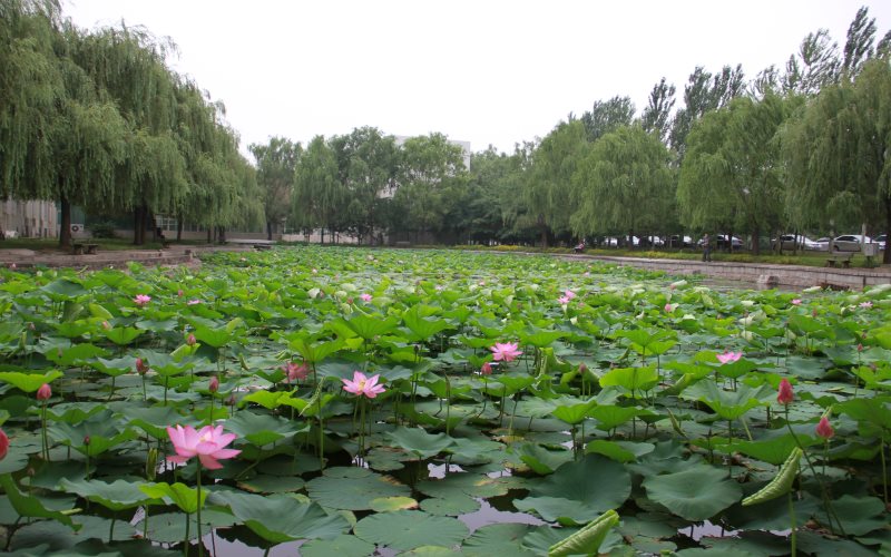 沈陽師范大學(xué)小學(xué)教育專業(yè)錄取分數(shù)線【遼寧高考物理類】