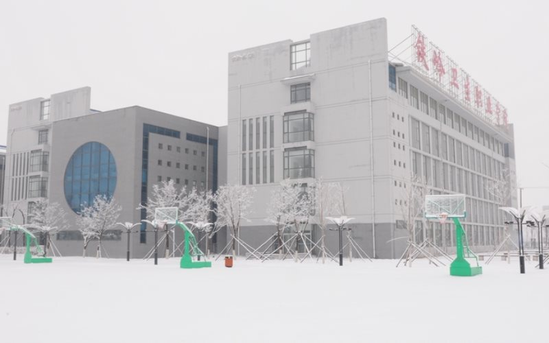 2023年鐵嶺衛(wèi)生職業(yè)學(xué)院在寧夏招生專業(yè)及招生人數(shù)匯總(2024考生參考)