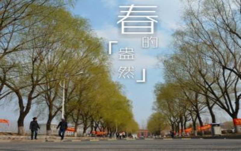 遼寧工程職業(yè)學院新能源汽車技術專業(yè)錄取分數(shù)線【遼寧高考物理類】