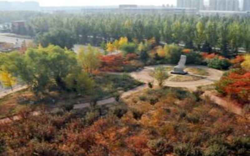 遼寧工程職業(yè)學(xué)院數(shù)控技術(shù)專業(yè)在遼寧招生錄取分?jǐn)?shù)(物理類)：345分
