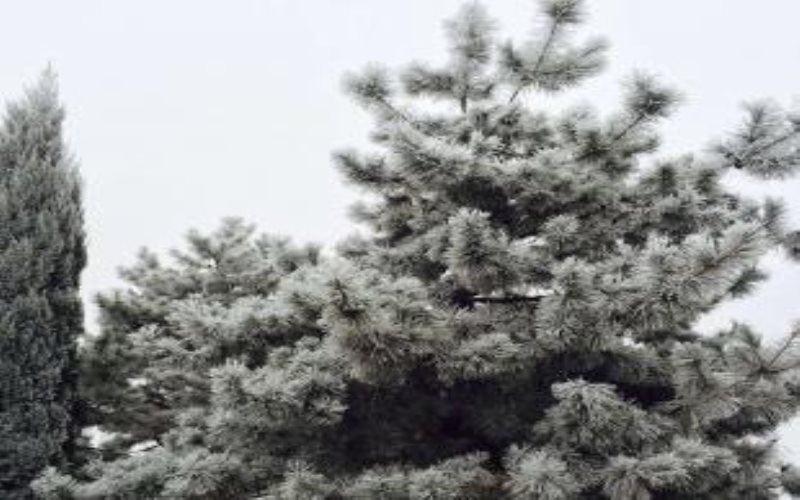 遼寧工程職業(yè)學院建筑消防技術專業(yè)錄取分數(shù)線【遼寧高考物理類】