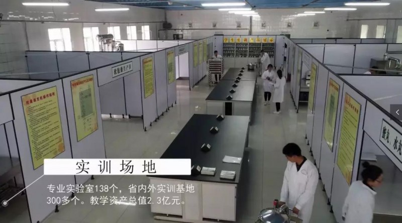 黑龍江農(nóng)業(yè)職業(yè)技術(shù)學院工業(yè)機器人技術(shù)專業(yè)錄取分數(shù)線【黑龍江高考理科】