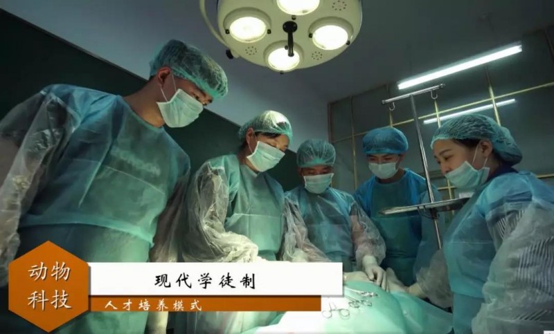 黑龍江農業(yè)職業(yè)技術學院工程造價專業(yè)錄取分數(shù)線【黑龍江高考理科】