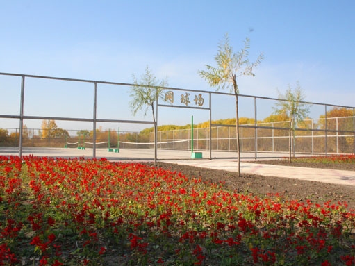 鶴崗師范高等?？茖W(xué)校小學(xué)數(shù)學(xué)教育（師范類）專業(yè)在遼寧招生錄取分數(shù)(物理類)：363分