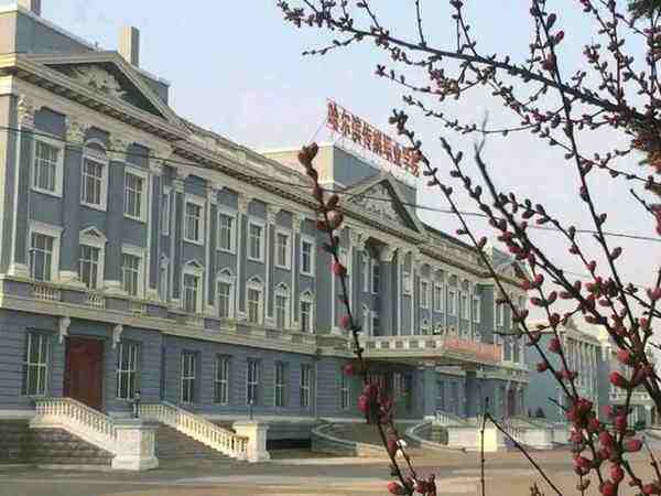 哈爾濱傳媒職業(yè)學(xué)院舞蹈編導(dǎo)專(zhuān)業(yè)錄取分?jǐn)?shù)線【黑龍江高考文科】