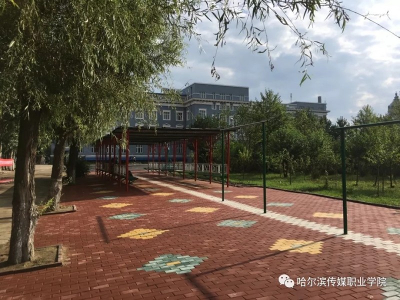多少分可以上哈爾濱傳媒職業(yè)學(xué)院？哈爾濱傳媒職業(yè)學(xué)院2022年在廣西各招生專業(yè)錄取分數(shù)匯總