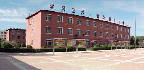 黑龍江三江美術(shù)職業(yè)學(xué)院服裝設(shè)計(jì)與工藝專業(yè)錄取分?jǐn)?shù)線【黑龍江高考文科】