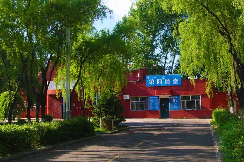 2023年河北考生多少分可以上黑龍江工業(yè)學(xué)院數(shù)據(jù)科學(xué)與大數(shù)據(jù)技術(shù)專業(yè)？