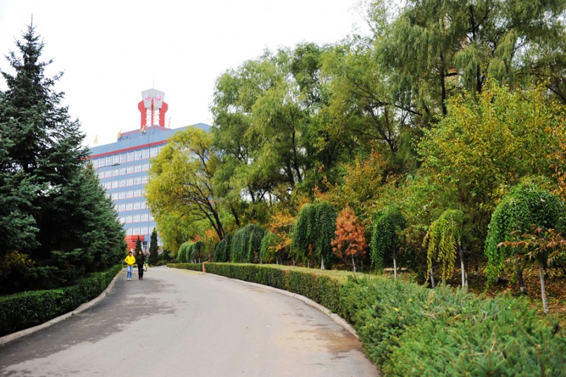 黑龍江工業(yè)學(xué)院材料科學(xué)與工程專業(yè)在河北招生錄取分?jǐn)?shù)(物理類)：484分