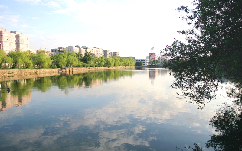 2024考生參考：2023東莞理工學(xué)院文化產(chǎn)業(yè)管理專業(yè)在重慶招生錄取分?jǐn)?shù)及錄取位次