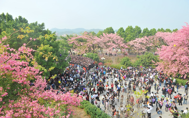 2023年遼寧考生多少分可以上廣州軟件學(xué)院軟件工程（國際班；學(xué)分互認專業(yè)）專業(yè)？