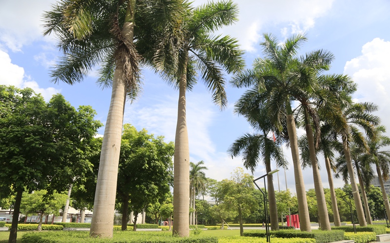 哈爾濱工業(yè)大學(xué)（深圳）建筑類專業(yè)錄取分?jǐn)?shù)線【四川高考理科】