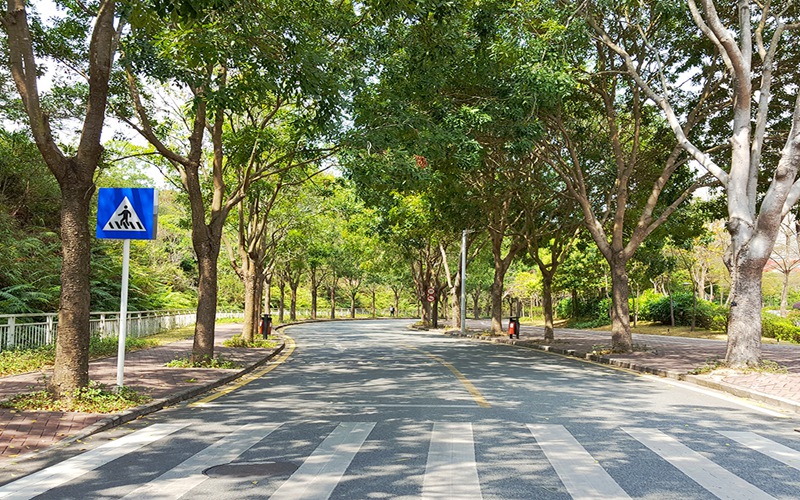 哈爾濱工業(yè)大學(xué)（深圳）數(shù)學(xué)類專業(yè)在河北招生錄取分數(shù)(物理類)：641分