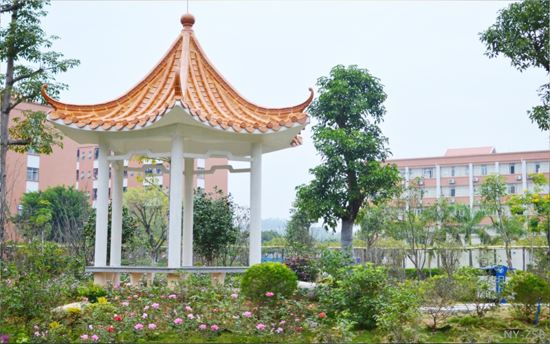 廣州南洋理工職業(yè)學(xué)院建筑設(shè)計(jì)專業(yè)錄取分?jǐn)?shù)線【廣西高考理科】