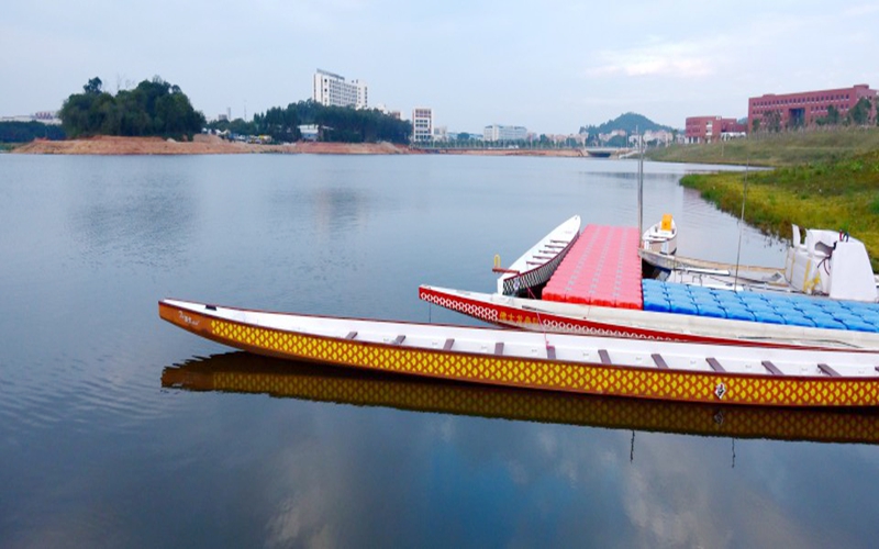佛山科學(xué)技術(shù)學(xué)院物聯(lián)網(wǎng)工程專業(yè)錄取分?jǐn)?shù)線【廣東高考物理類】