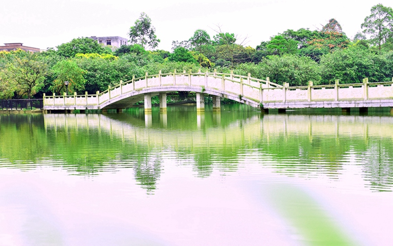 2023年廣州科技貿(mào)易職業(yè)學院在福建招生專業(yè)及招生人數(shù)匯總(2024考生參考)