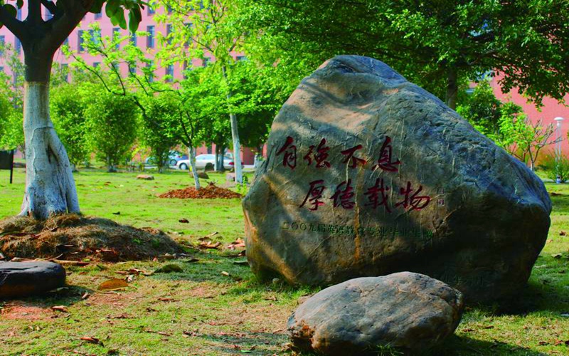 2024年河源職業(yè)技術(shù)學院智能控制技術(shù)專業(yè)在河北錄取分數(shù)線參考