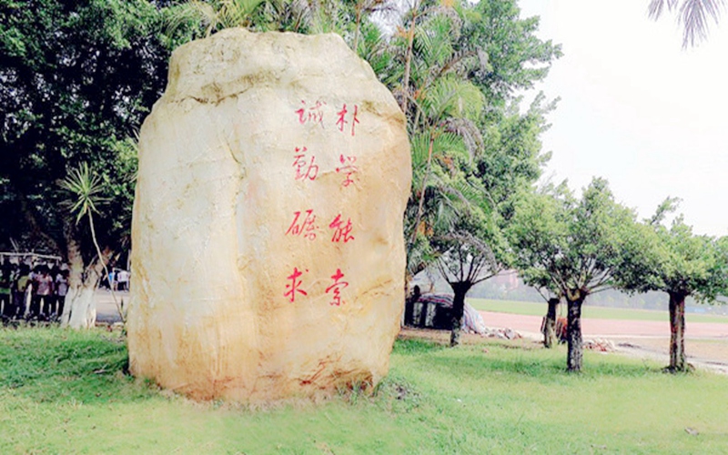 羅定職業(yè)技術(shù)學(xué)院機電一體化技術(shù)專業(yè)（一 ）錄取分數(shù)線【廣西高考文科】