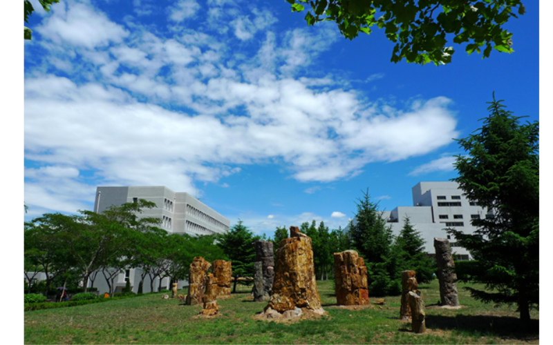 2023年大連大學(xué)在青海錄取批次及錄取分?jǐn)?shù)參考