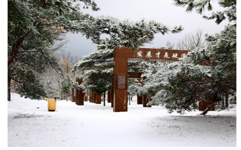 大連大學(xué)數(shù)據(jù)科學(xué)與大數(shù)據(jù)技術(shù)專業(yè)在山東招生錄取分數(shù)(綜合)：555分