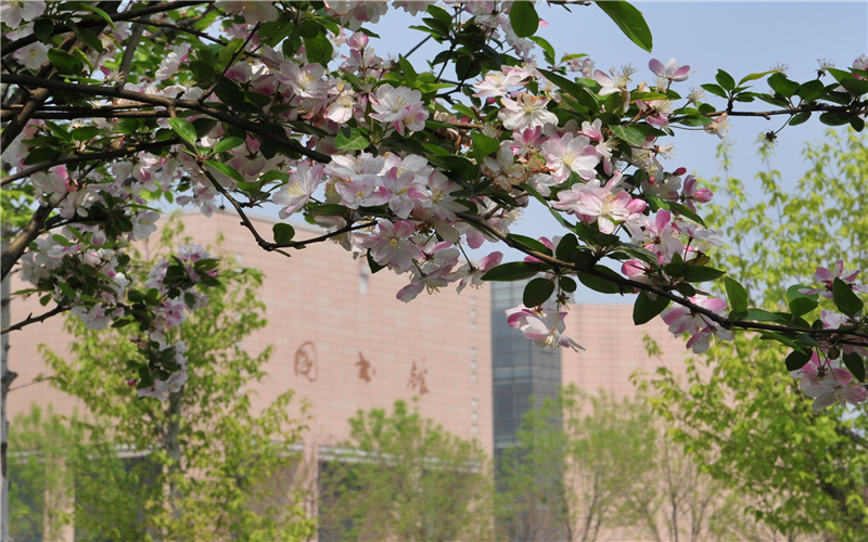 鄭州大學(xué)數(shù)學(xué)類專業(yè)錄取分?jǐn)?shù)線【河南高考理科】