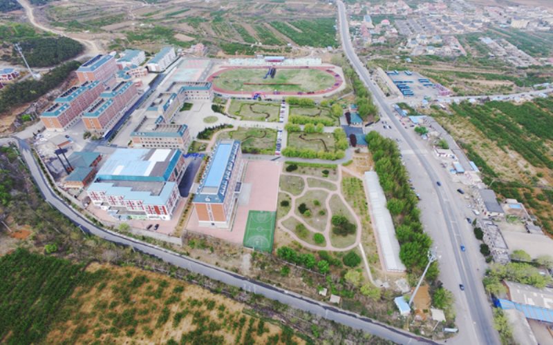 2022年大連楓葉職業(yè)技術(shù)學(xué)院在廣西招生專業(yè)及招生人數(shù)匯總（2023考生參考）