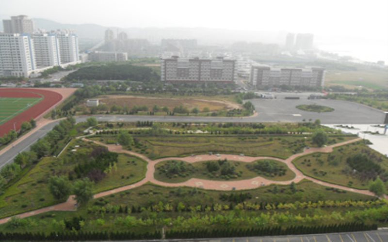 大連航運(yùn)職業(yè)技術(shù)學(xué)院國(guó)際郵輪乘務(wù)管理專業(yè)在遼寧招生錄取分?jǐn)?shù)(歷史類)：351分