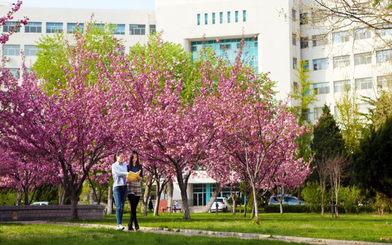多少分可以上大連交通大學(xué)？大連交通大學(xué)2022年在青海各招生專業(yè)錄取分?jǐn)?shù)匯總