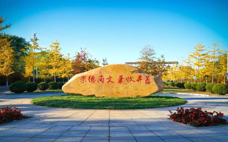 大連外國語大學漢語國際教育專業(yè)錄取分數(shù)線【北京高考綜合】
