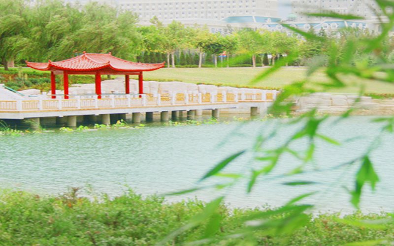 2023年遼寧對外經(jīng)貿(mào)學(xué)院在四川招生專業(yè)及招生人數(shù)匯總