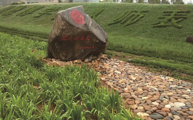 遼寧師范大學(xué)物理學(xué)（師范）專業(yè)在河北招生錄取分?jǐn)?shù)(物理類)：557分