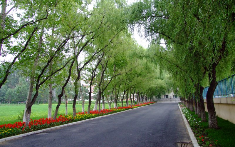 2022年吉林交通職業(yè)技術(shù)學(xué)院在西藏招生專業(yè)及招生人數(shù)匯總（2023考生參考）