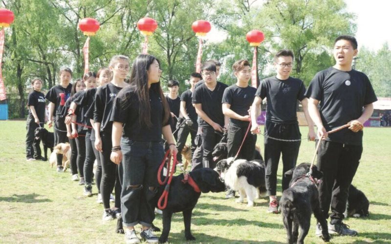 2024考生參考：2023吉林農(nóng)業(yè)科技學院機械設計制造及其自動化專業(yè)在遼寧招生錄取分數(shù)及錄取位次