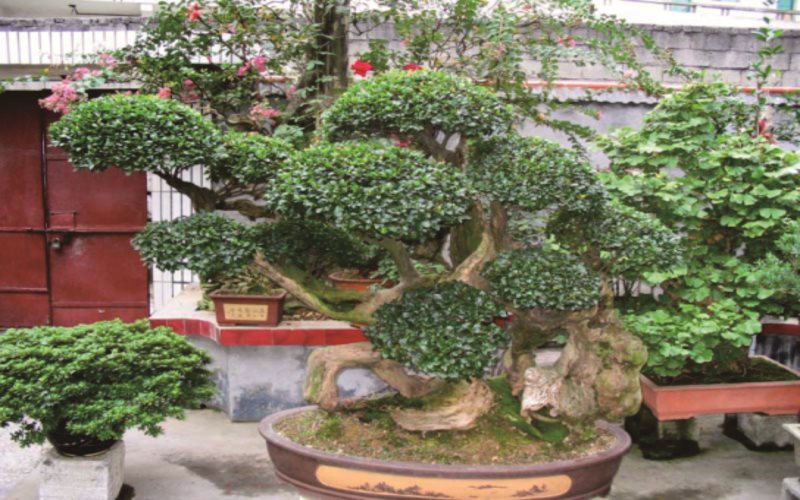多少分可以上吉林農(nóng)業(yè)科技學(xué)院？吉林農(nóng)業(yè)科技學(xué)院2022年在新疆各招生專業(yè)錄取分?jǐn)?shù)匯總